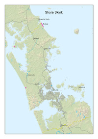 Auckland Distribution Map of Shore Skink. 