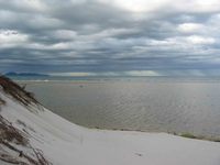 Foredunes at Te Arai