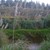 Te Arai Stream 2013-3. 